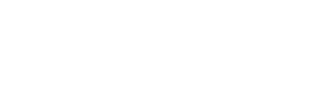 Wordpress-julkaisujärjestelmä